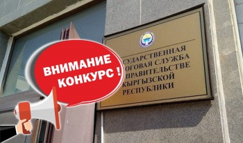 ГНС объявляет конкурс среди десятиклассников и студентов на лучшее эссе